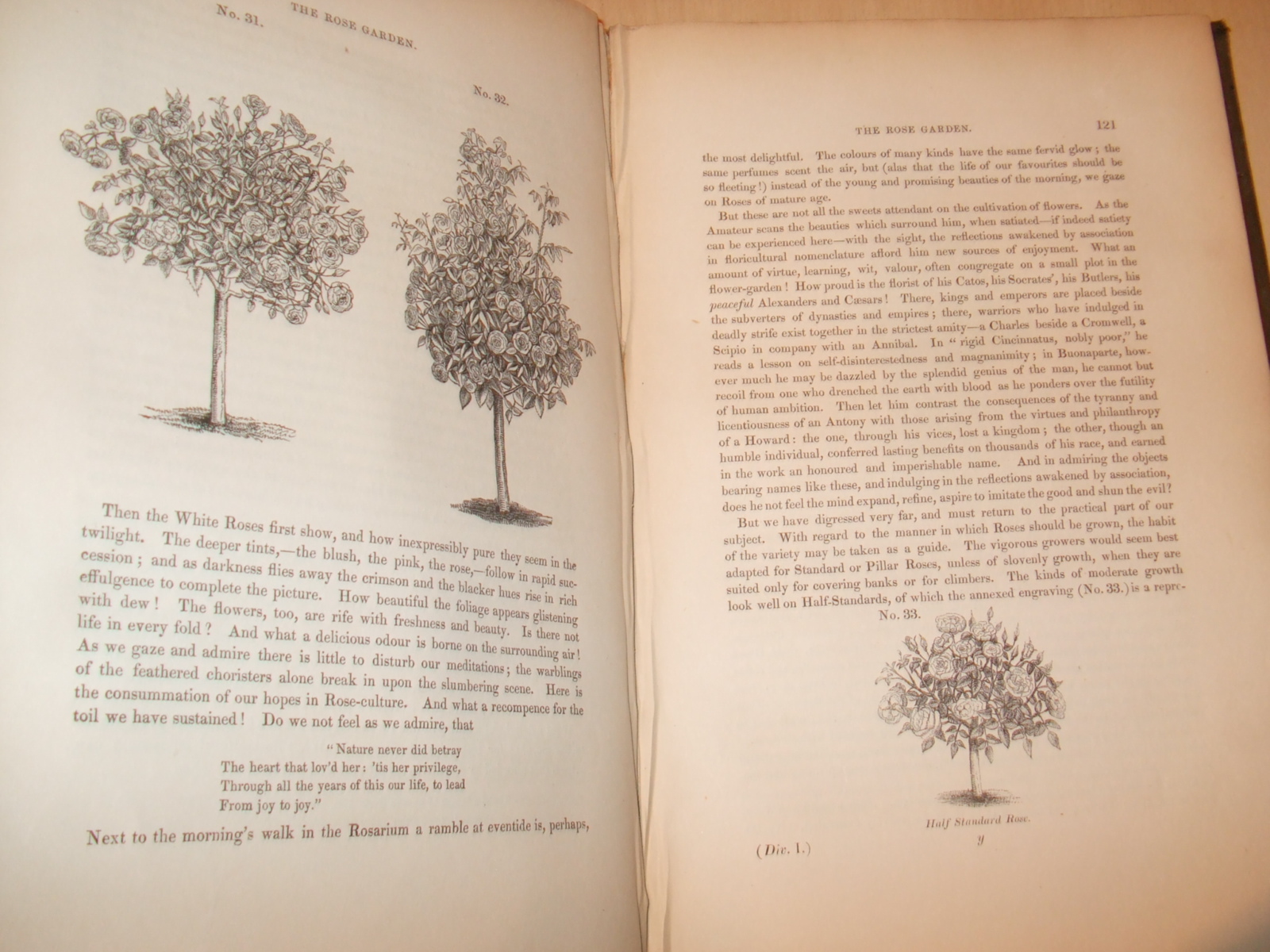 The Rose Garden. In two Divisions. 1. Embracing the history of the rose