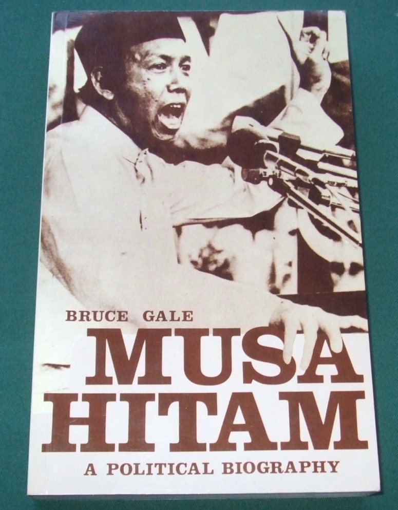 Image for Musa Hitam a Political Biography