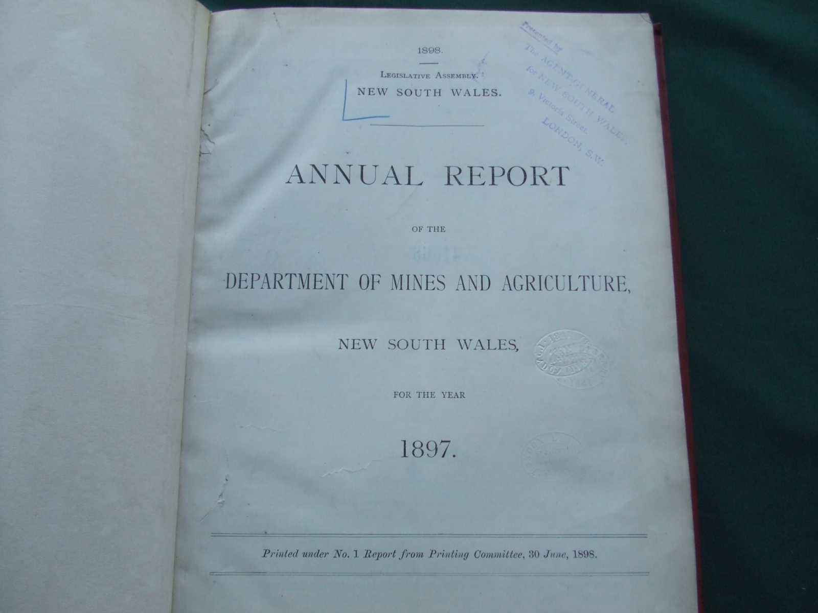 Image for Annual Report of the Department of Mines and Agriculture New South Wales for the Year 1897