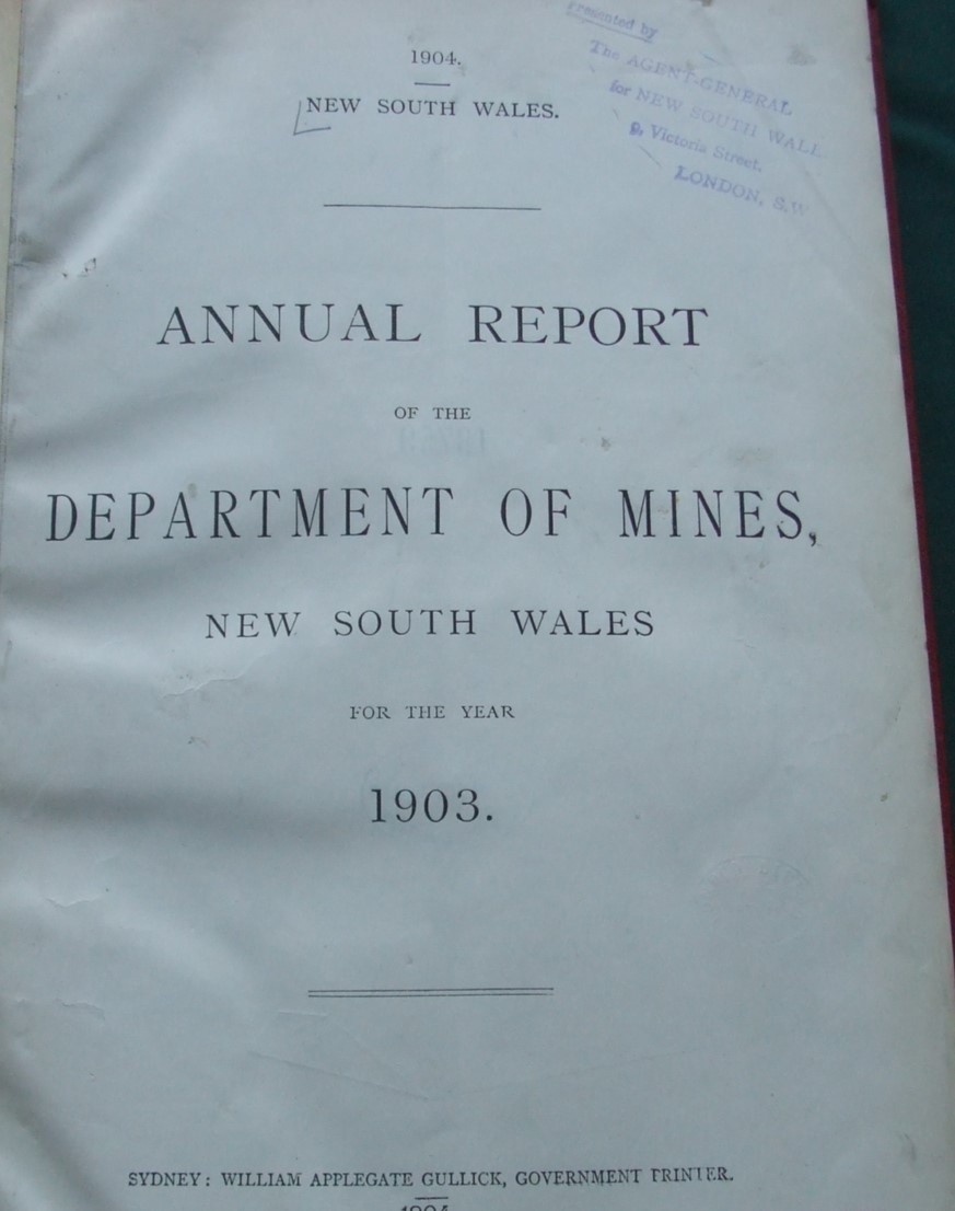 Image for Annual Report of the Department of Mines and Agriculture New South Wales for the Year 1903