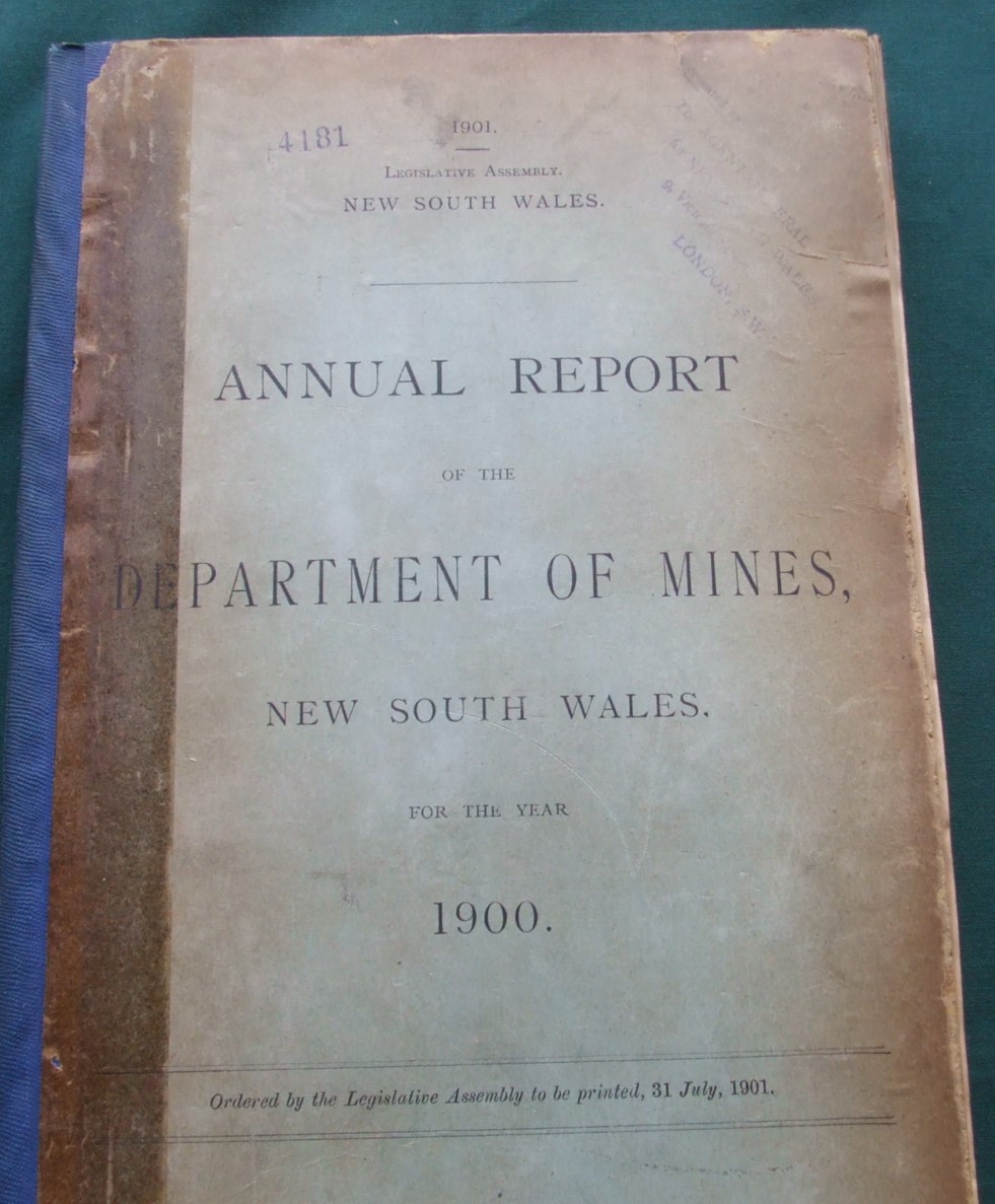 Image for Annual Report of the Department of Mines, New South Wales, for the Year 1900