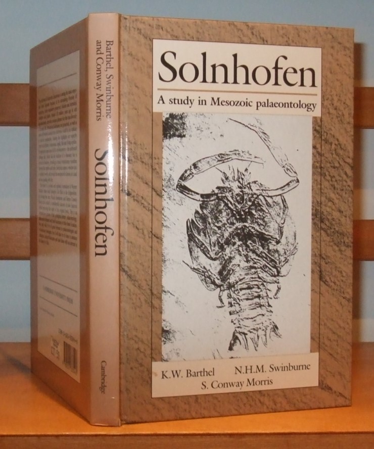 Image for Solnhofen a Study in Mesozoic Palaeontology