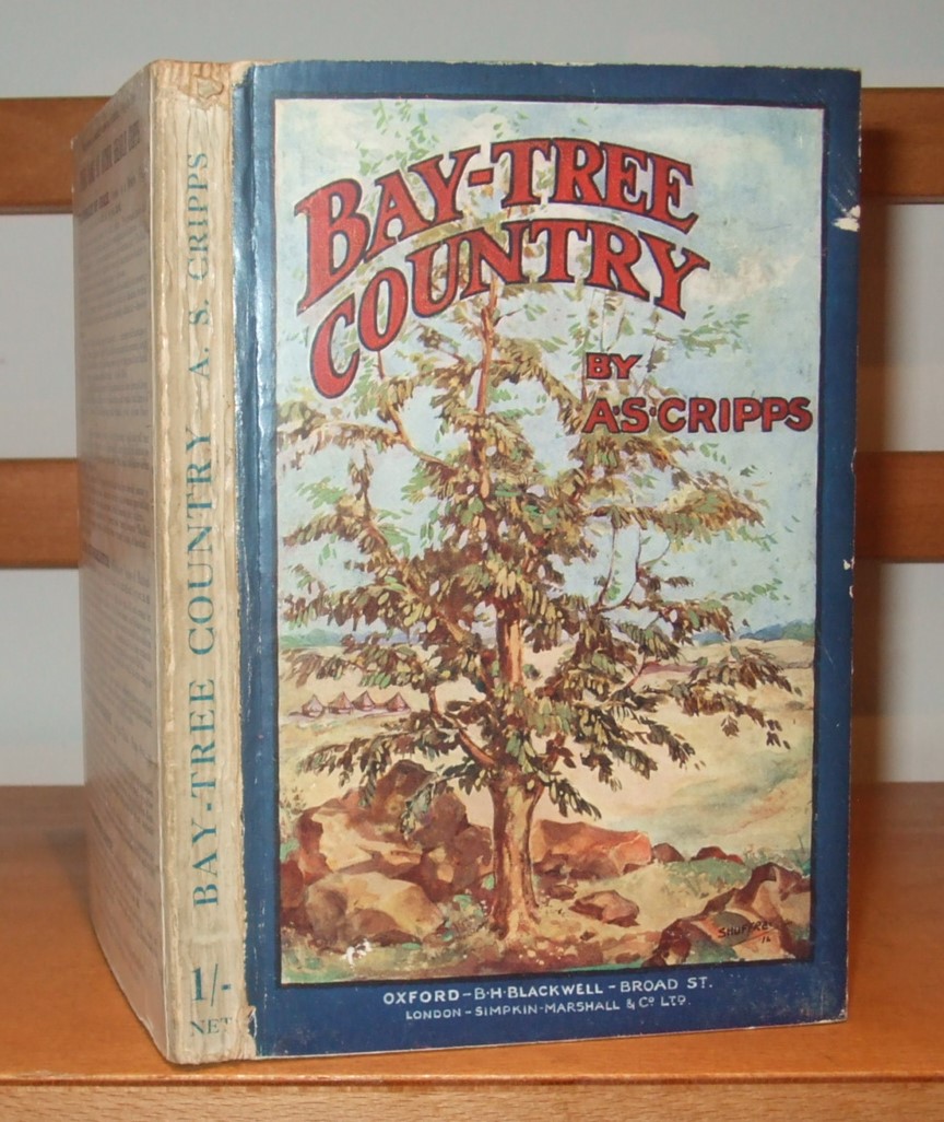 Image for Bay-Tree County a Story of Mashonaland