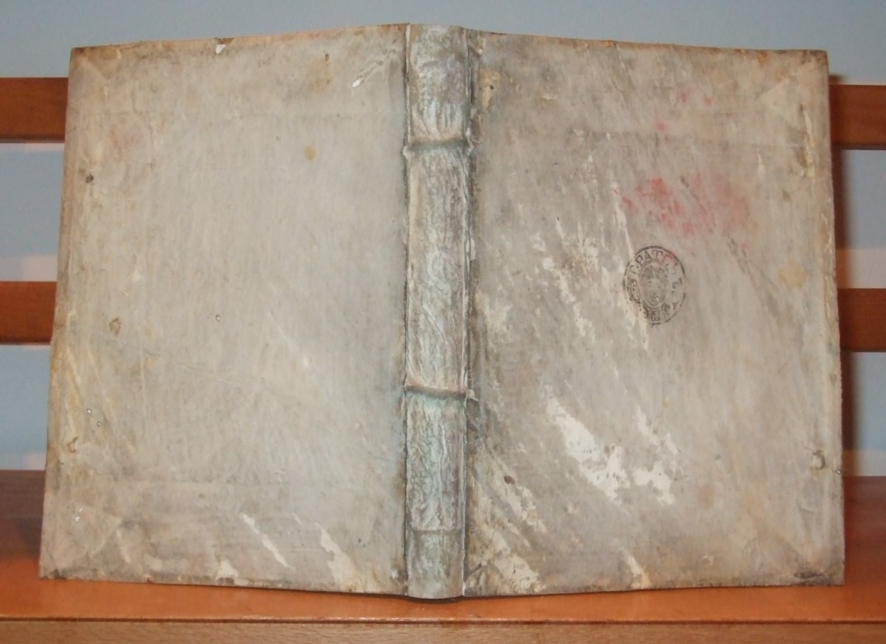 Image for De' veri precetti della pittvra, libri tre Ne' quali con bell'ordine d'vtili, & buoni auertimenti, per chi desidera in essa farsi con prestezza eccellente, di dimostrano i modi principali del disegnare, & del dipignere, & di fare le Pitture.