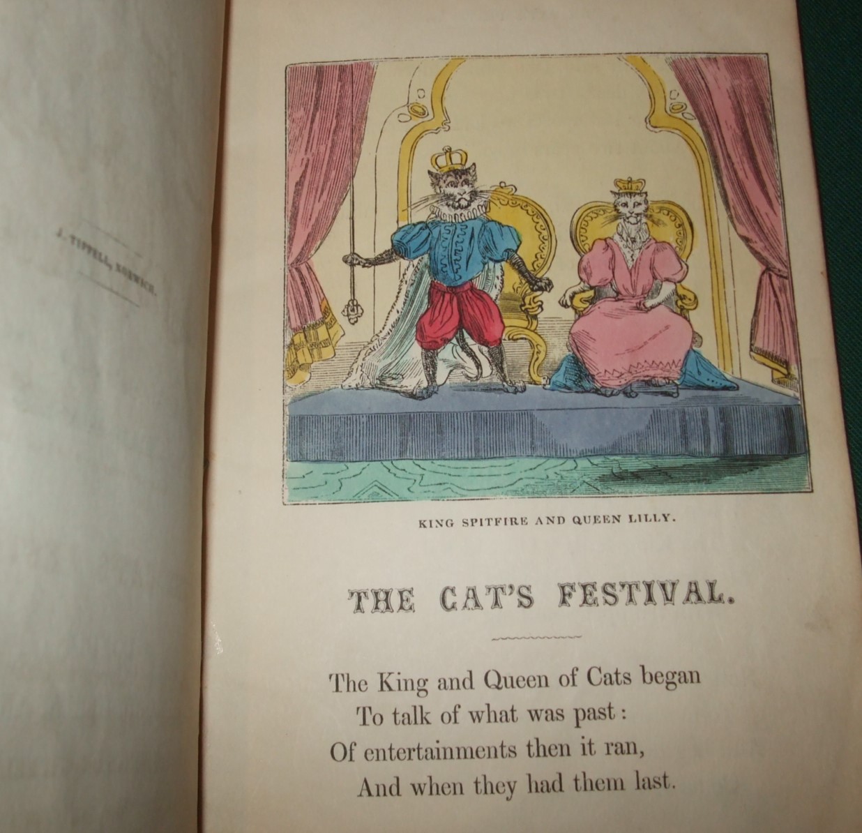 Image for The Cat's Festival