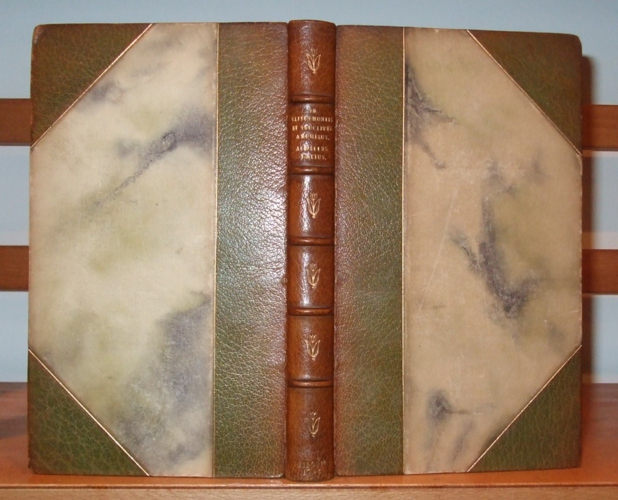 Image for Achillis Tatii Alexandrini De Clitophontis et Leucippes Amoribus Libri Viii Graece et Latine