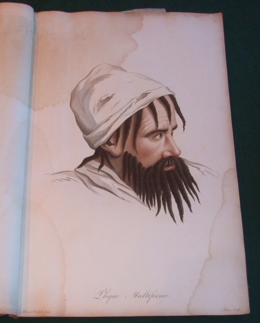 Image for Description des maladies de la peau observées à l'Hôpital Saint-Louis. Et exposition des meilleures méthodes suivies pour leur Traitement [ 45 Coloured Plates ]