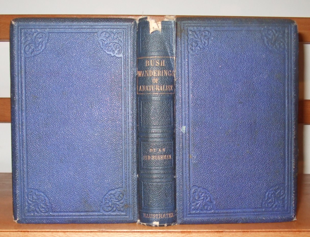 Image for Bush Wanderings of a Naturalist or, Notes on the Field Sports and Fauna of Australia Felix